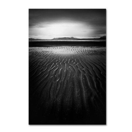Trademark Fine Art Philippe Sainte-Laudy 'Black Magic' Canvas Art, 16x24 PSL0617-C1624GG